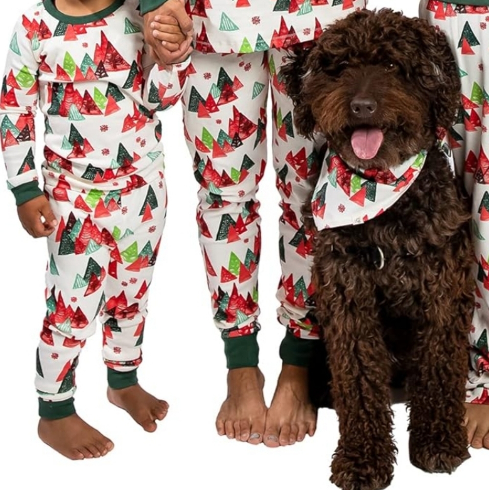 Burts bees 3T family jammies